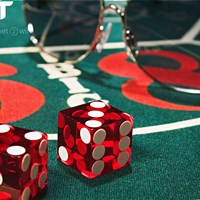 Elyssa Smith's Portfolio